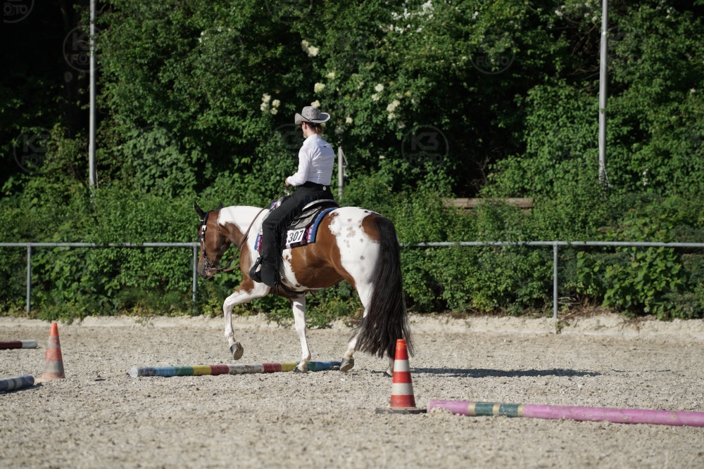 s_APF06913.jpg